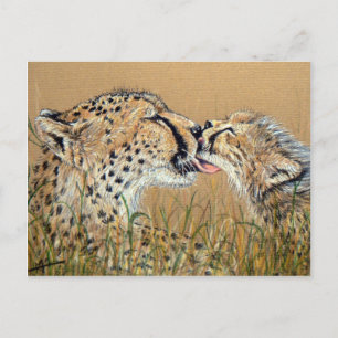 Tender Kiss Cheetah Baby & Mum Postcard