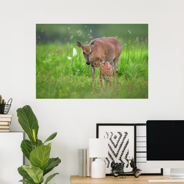 Tender moment deer poster (Creator Uploaded)