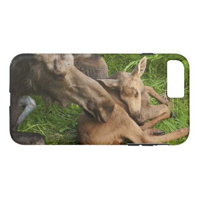 Tender Mother Moose Case-Mate iPhone Case (Back (Horizontal))