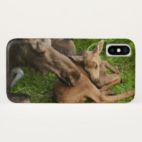 Tender Mother Moose