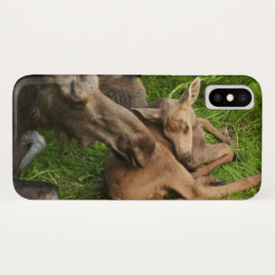 Tender Mother Moose Case-Mate iPhone Case