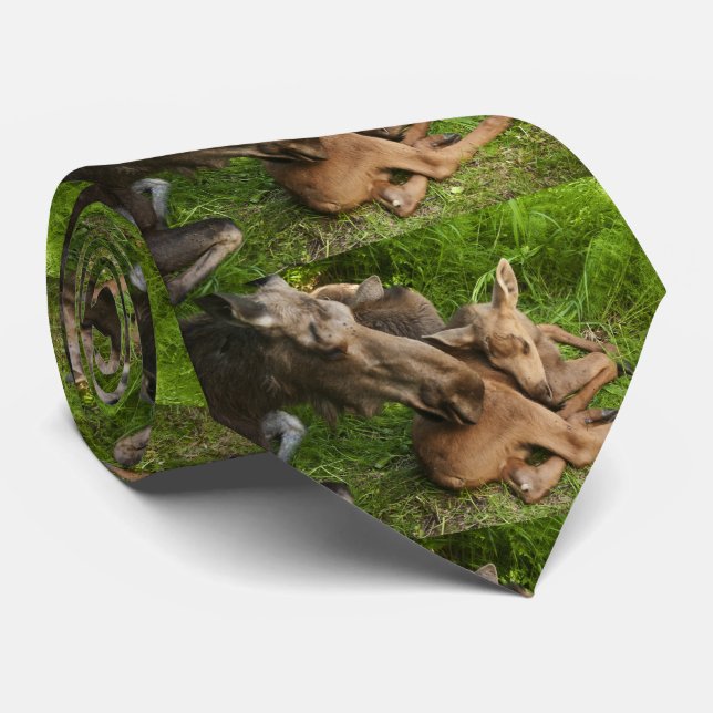 Tender Mother Moose Tie (Rolled)