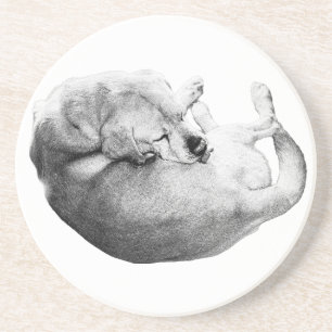 Tender Ritual Coaster