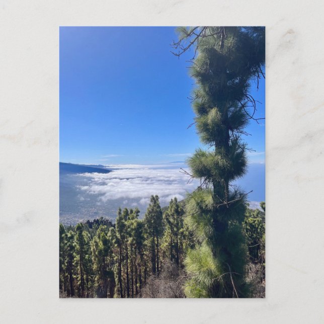 Tenerife bliss.. postcard (Front)