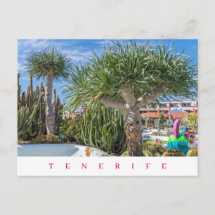 Tenerife unique trees view postcard