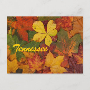 Tennessee Autumn Leaves Postcard