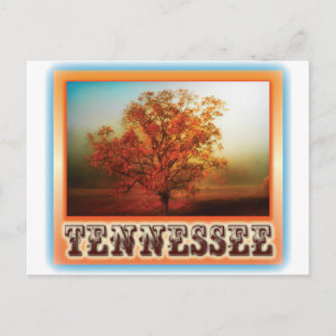 Tennessee Fall Tree Scene Postcard