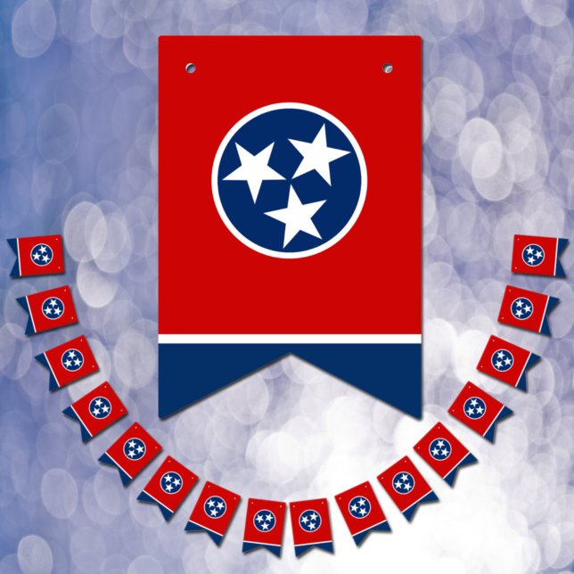 Tennessee Flag Party, bunting Banners / Weddings (Creator Uploaded)