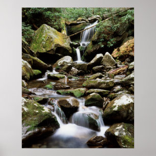 Tennessee, Great Smoky Mountains National Park 2 Poster