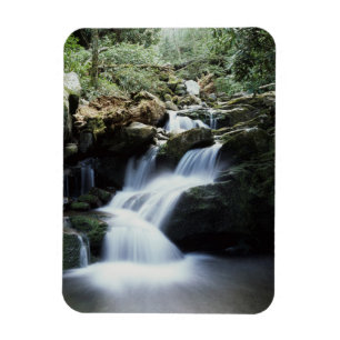 Tennessee, Great Smoky Mountains National Park 3 Magnet