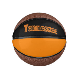 Tennessee Mini Basketball