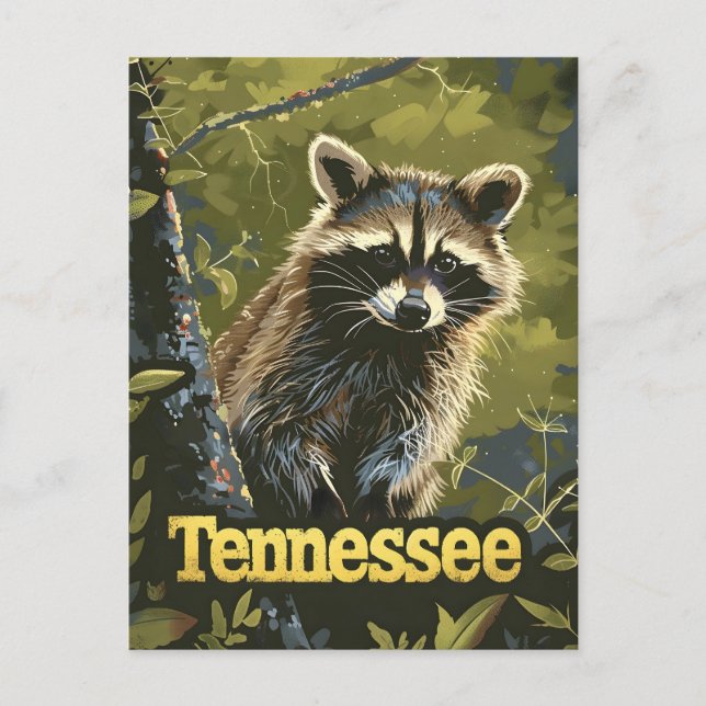 Tennessee Racoon Postcard (Front)