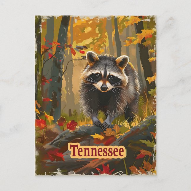 Tennessee Racoon Postcard (Front)