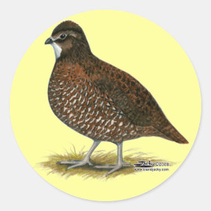 Tennessee Red Quail Classic Round Sticker
