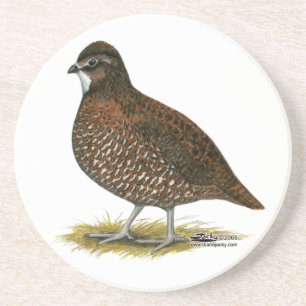 Tennessee Red Quail Coaster