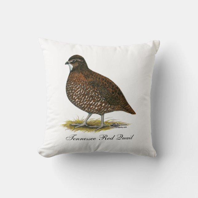 Tennessee Red Quail Cushion (Front)