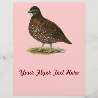 Tennessee Red Quail Flyer