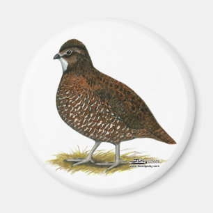 Tennessee Red Quail Magnet