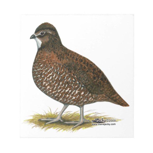 Tennessee Red Quail Notepad (Front)