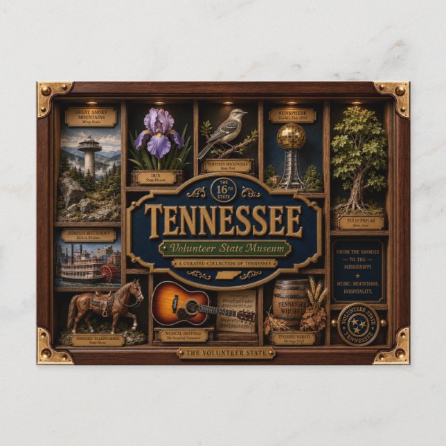 Tennessee Shadow Box 3D Figurine State Postcard (Front)