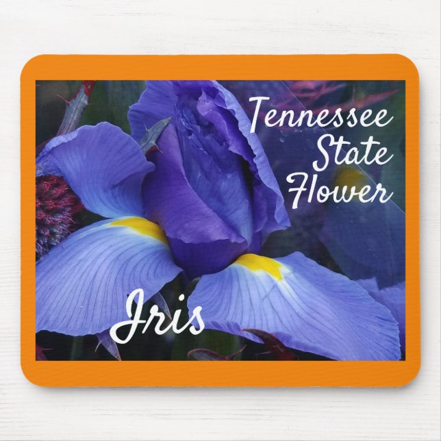 Tennessee State Flower Iris Nature Photography Mouse Pad (Front)