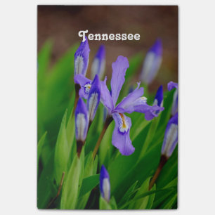 Tennessee State Flower Post-it Notes