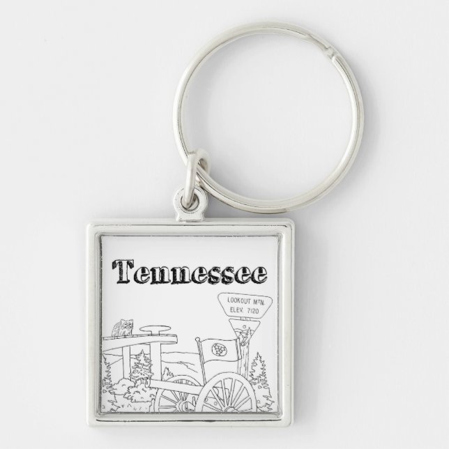 Tennessee State Symbols Volunteer State Images Key Ring (Front)