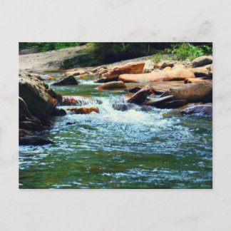 Tennessee Stream Postcard