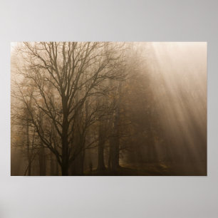 Tennessee Trees in Fog Great Smoky Mountain Poster