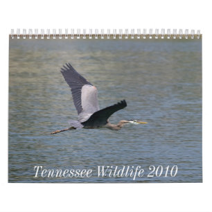 Tennessee Wildlife 2010 Calendar