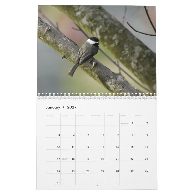 Tennessee Wildlife 2010 Calendar (Jan 2027)