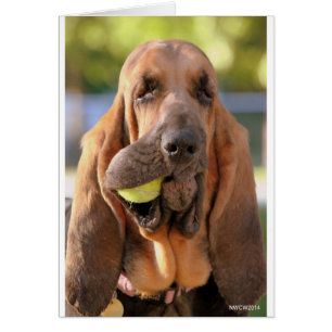 Tennis, anyone?