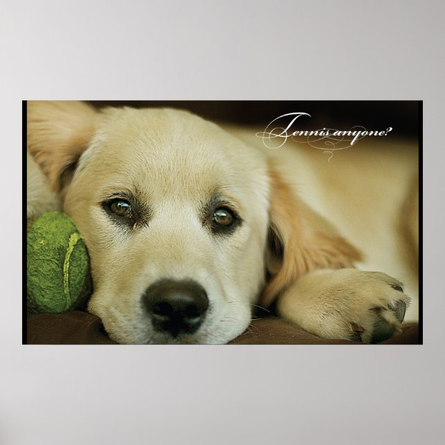 Tennis anyone? poster (Front)