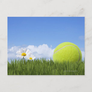 Tennis Balls Postcard