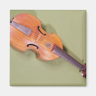 Tenor viol, 1667 magnet