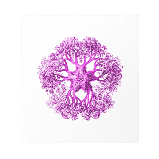 Tentacle Section in Pink Notepad (Front)