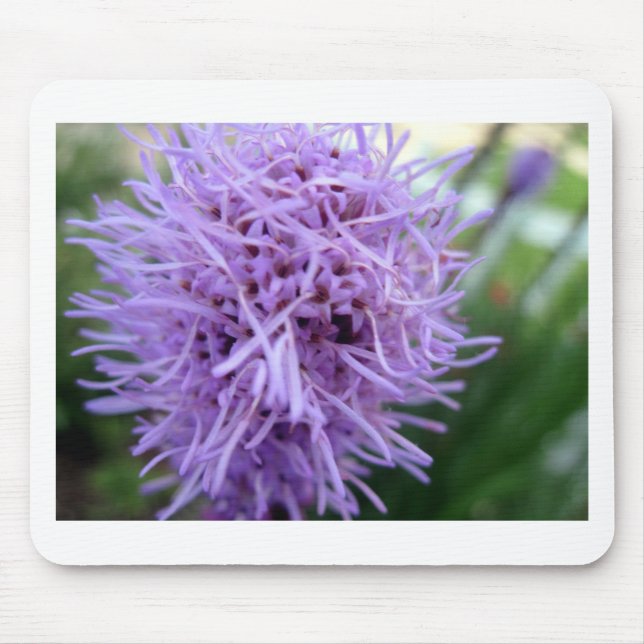 Tentacle Spider Violet Flower Mouse Pad (Front)