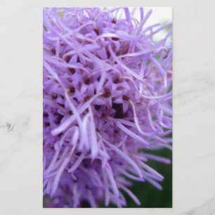 Tentacle Spider Violet Flower Stationery