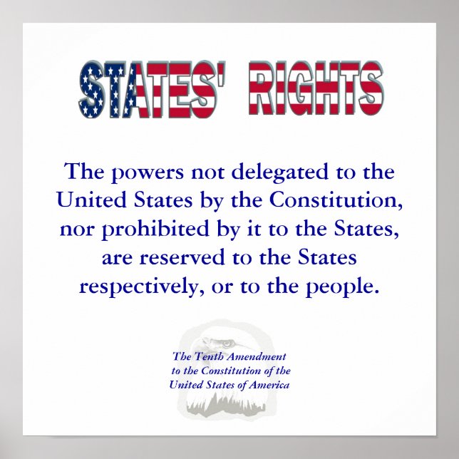 Tenth Amendment Poster (Front)