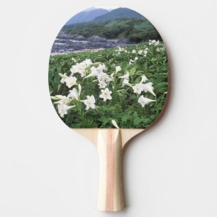 Teppo Yuri (Lily), Yakushima, Kagoshima, Japan Ping Pong Paddle