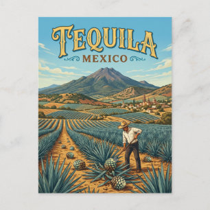 Tequila Mexico Postcard