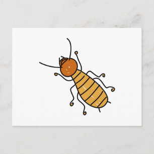 termite postcard