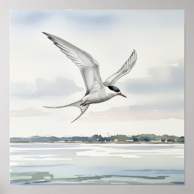 Tern Flying Over the Bay Poster (Front)
