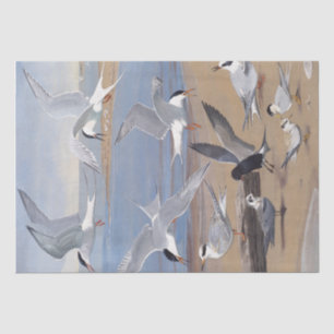 Tern Seagull Bird on Beach Ocean Vintage Decoupage Tissue Paper