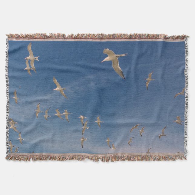Terns Overhead Throw Blanket (Front)