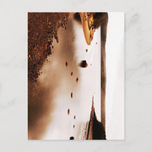 Terra Nova National Park Postcard