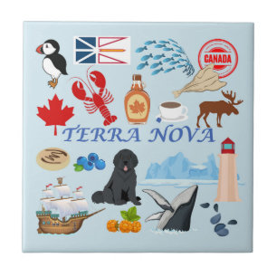 Terra Nova Newfoundland Tile