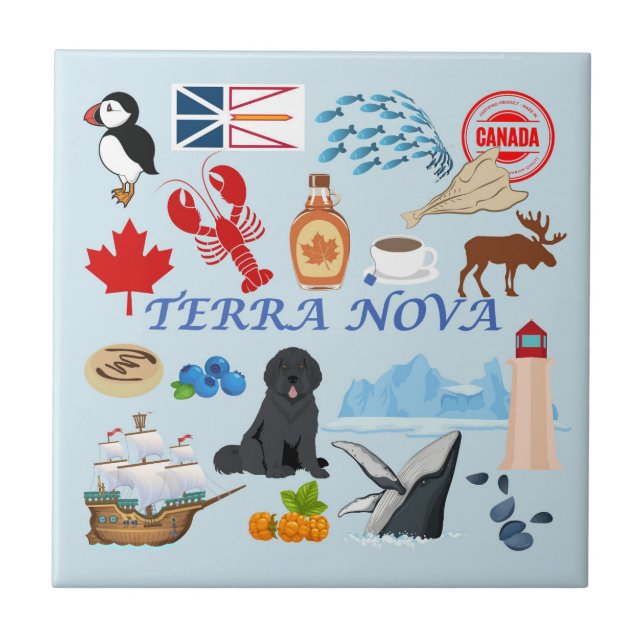 Terra Nova Newfoundland Tile (Front)