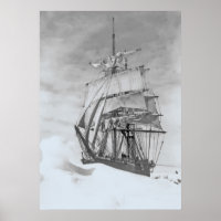 Terra Nova