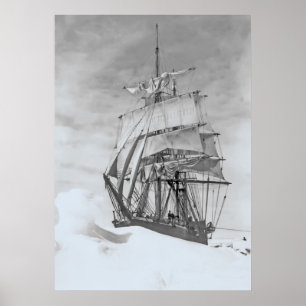 Terra Nova Poster